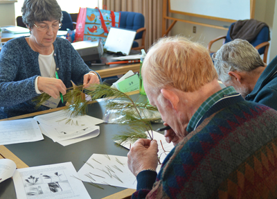 teachers examining needles