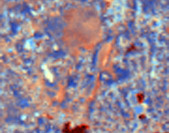 landsat image 4
